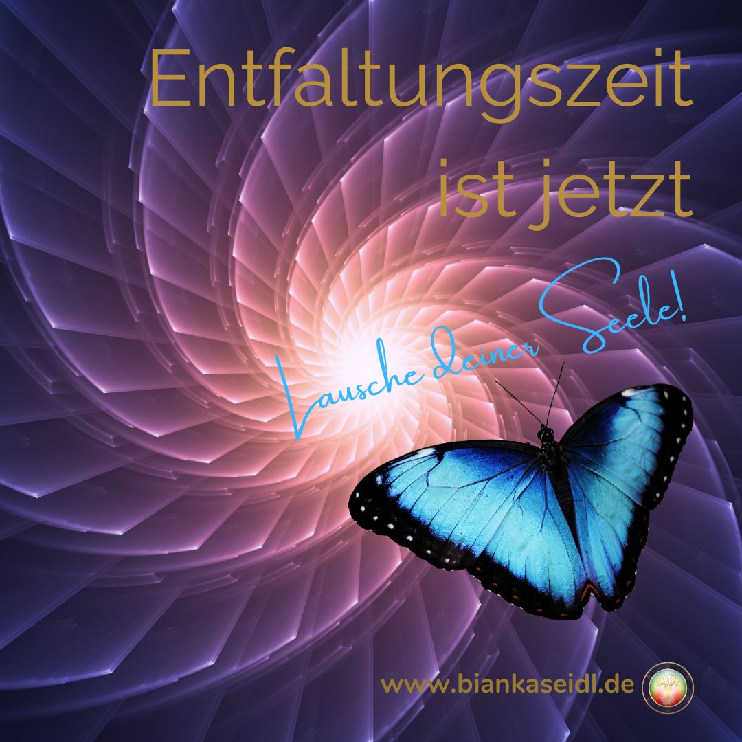 Buch Die Zeit ist reif ..! (hochwertiges Hardcover)